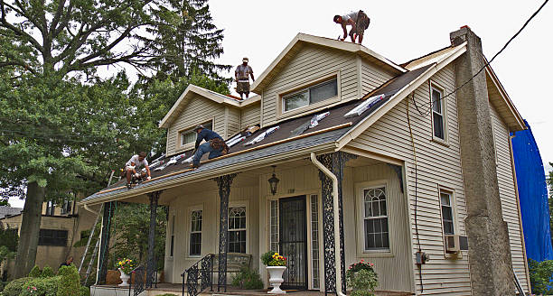 Best Roof Maintenance Services  in Oak Ridge, TN